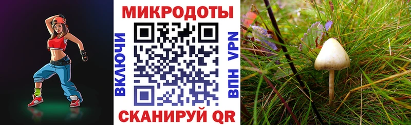 Купить  Кунгур  Псилоцибиновые грибы Psilocybine cubensis 